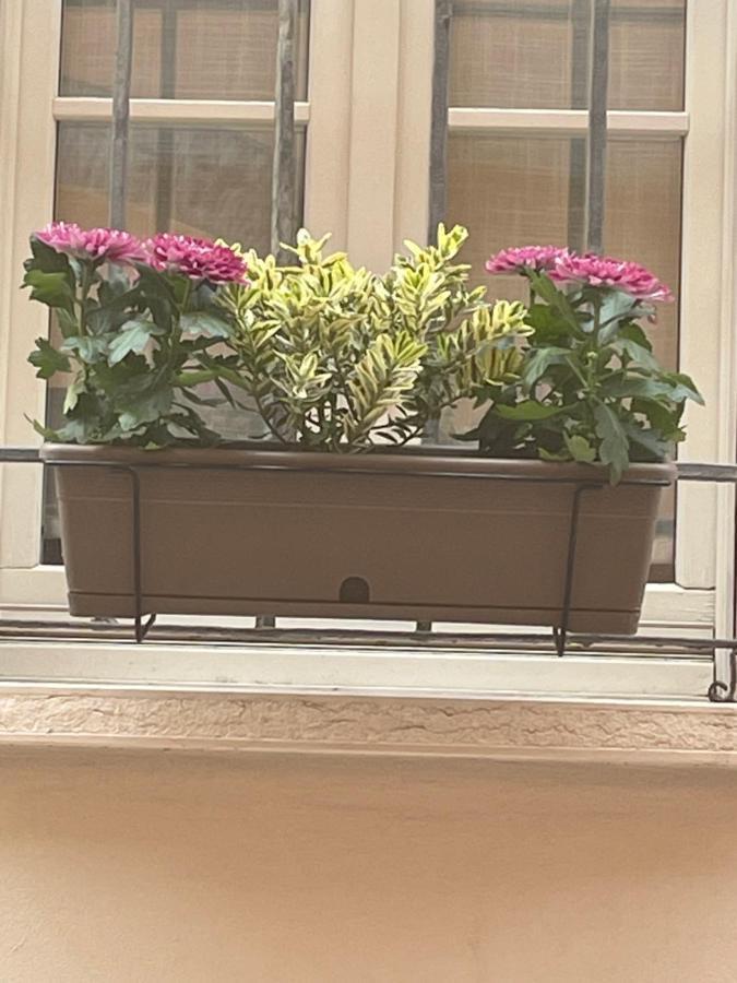 Cuor Di Mantova B&B Dış mekan fotoğraf